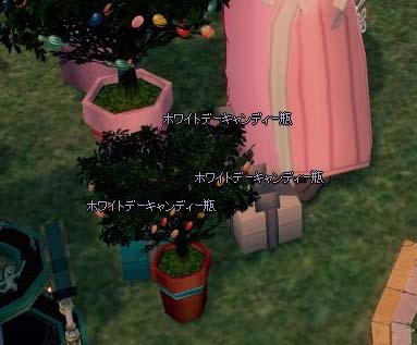 採集