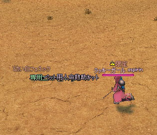 mabinogi_2010_10_25_003