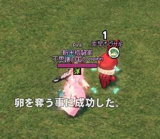 素早いウサギ