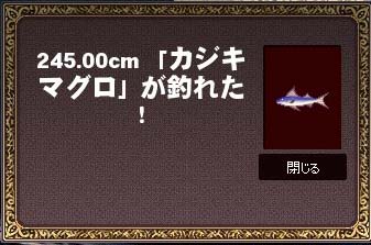 マカジキではない