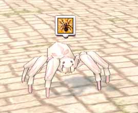 クモぉ