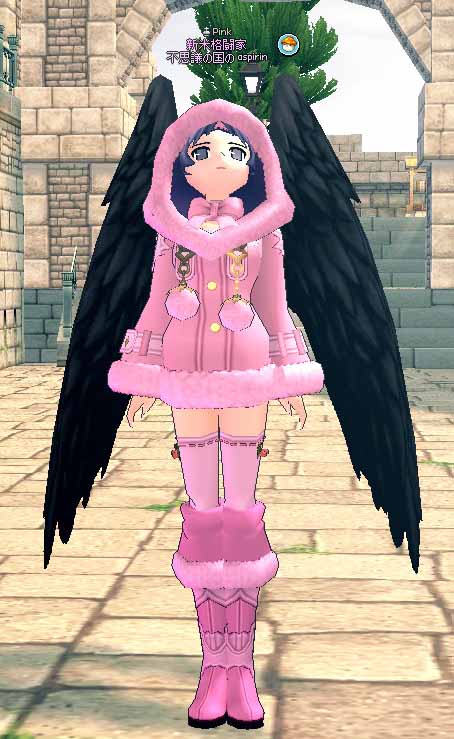 黒き天使の翼