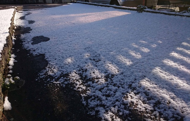 積雪しとる