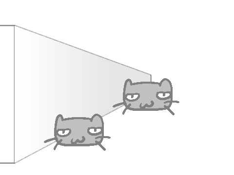 どちらのネコが大きく見えるか