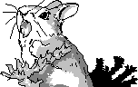 chat_20151019_144506_aspirin