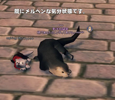 カワウソ