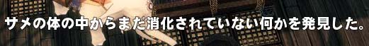 サメの…