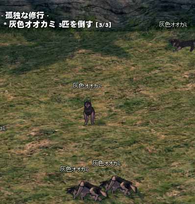 灰色オオカミ3匹を倒す