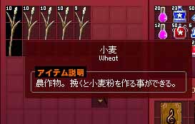収穫した小麦粉