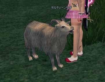 ヤギ…