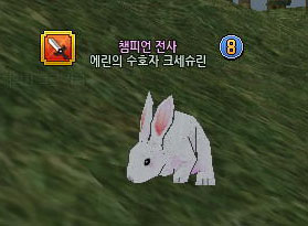 うさぎ!!!!