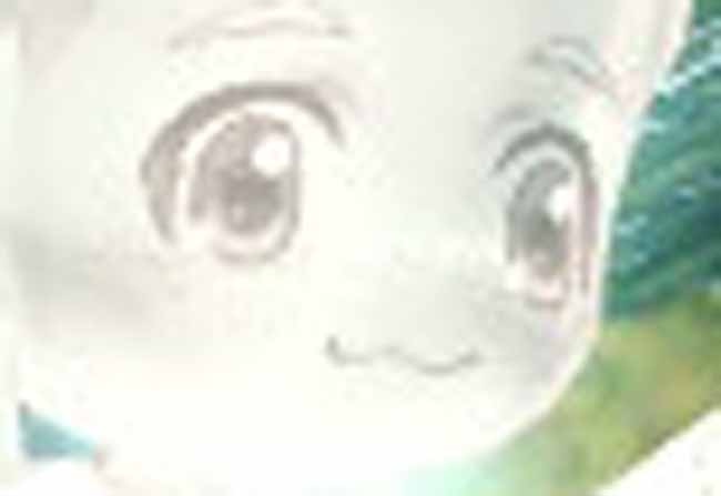 目が怖すぎ
