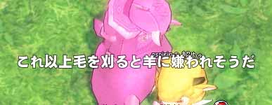 これ以上毛を刈ると羊に嫌われそうだ