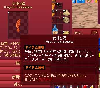 女神の翼