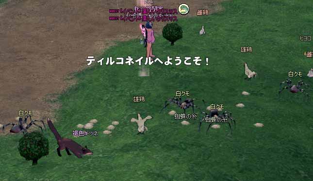 ティルコネイルw
