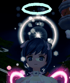 冬の天使