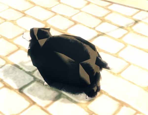 光が強すぎる