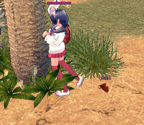 木の実