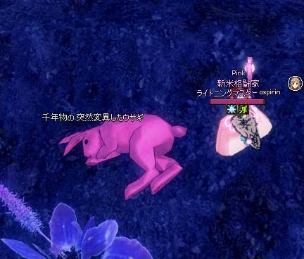 眠るウサギ