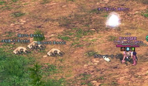ミニクマと…