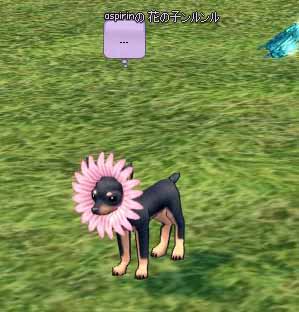 花wwww