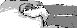 chat_20151028_173034_aspirin