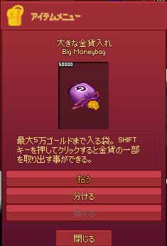 大きな金貨入れ