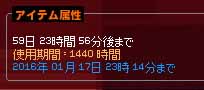 60日間