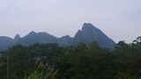 2013草2