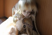 小鳥