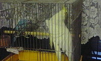 fd9325e3.jpg
