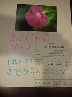 DSC03060