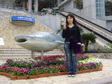 美ら海水族館