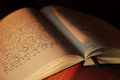 MOLESKINE