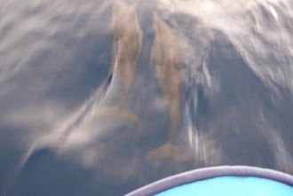 s_0100