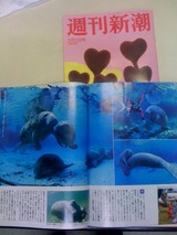 ShowLetter-6