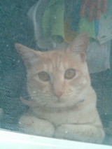 moblog_659729