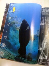 ShowLetter-5