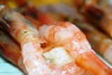 IMG__2010_08_30_37373