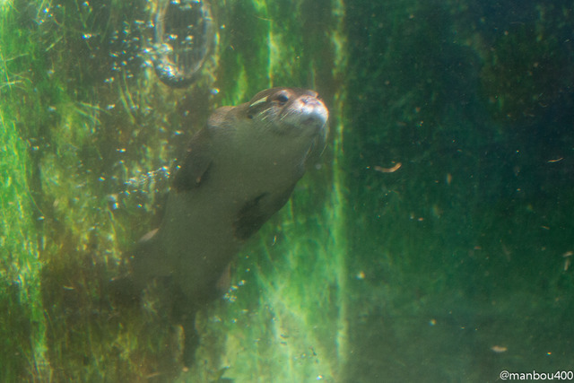 20131102-4O0A0041