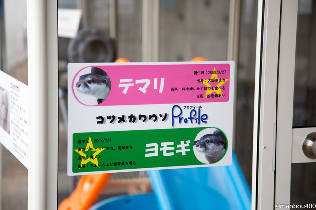 4O0A8105