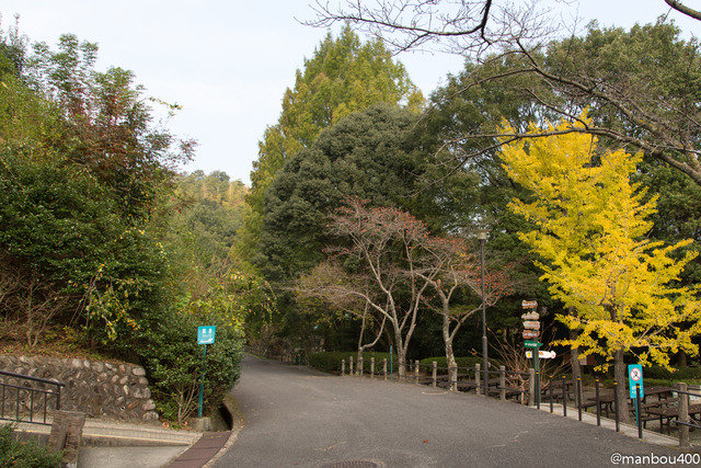 20131102-4O0A8876