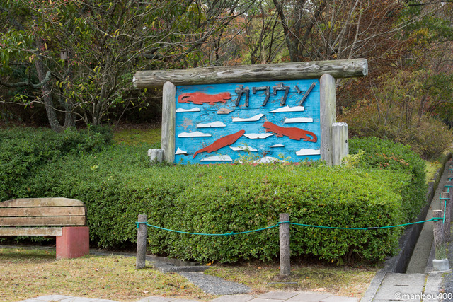 20131102-4O0A8877