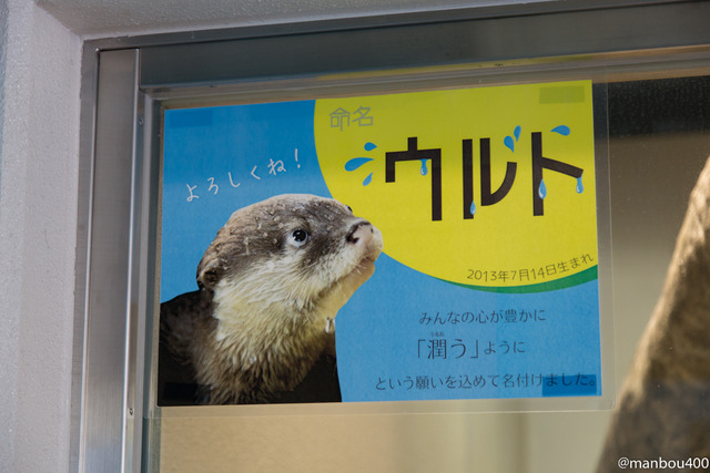 4O0A9871