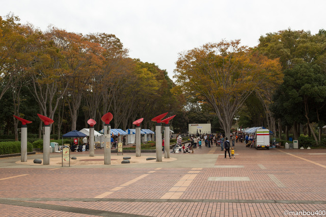 20131110-4O0A2929