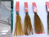 CIMG0146