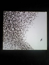 Wilco