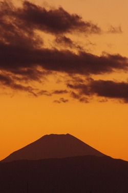 fuji1