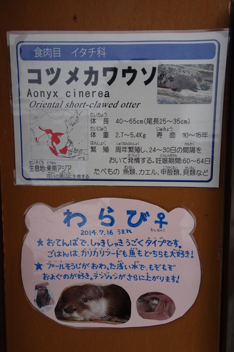 DSC02253