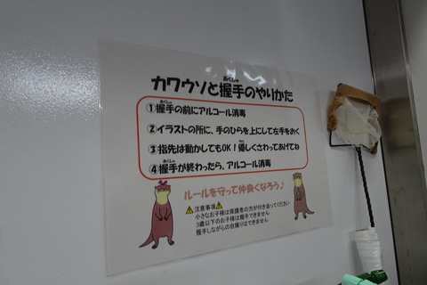 DSC06791